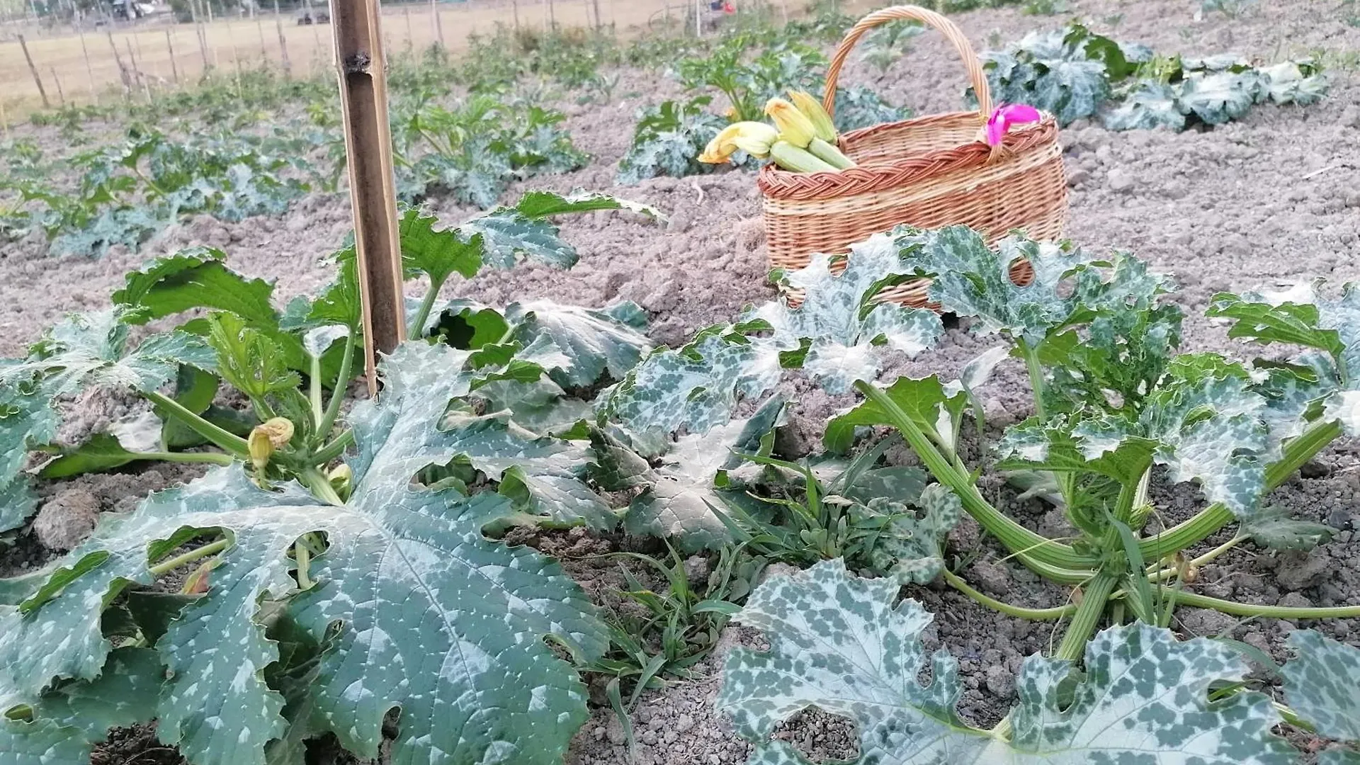 Agriturismo Dei Legi Italy